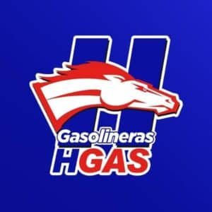 Facturacion Gasolineras HGAS Facturacion Gasolineras HGAS
