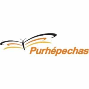 Facturacion Purhepechas