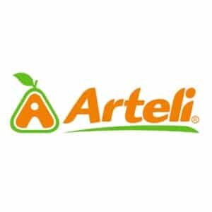 Facturacion arteli