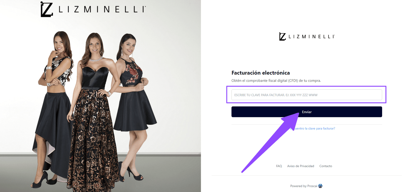 como facturar liz minelli 1 como facturar liz minelli 1