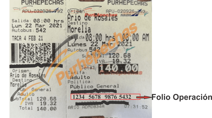 como facturar purhepechas
