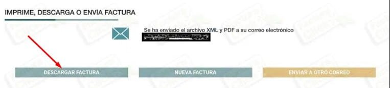 Facturacion a Zinabus Descargar factura Facturacion a Zinabus Descargar factura
